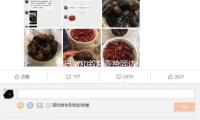 黎巴嫩和敘利亞讚同（tóng）邊境停火 — 新京報