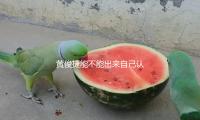 黃俊捷能不能出來自己認一個真嫂子啊？