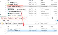 55歲王（wáng）菲低沉現身機場，穿白T紮高馬（mǎ）尾美似（sì）少女，素麵（miàn）朝天狀況好很鬆懈