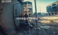 5000年前（qián）羊（yáng）毛（máo）衣物助推喪命疾病傳達