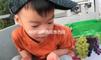 44歲霍思燕現身西藏，和杜江逛八廊街，打扮像大媽，身段嚴峻走形