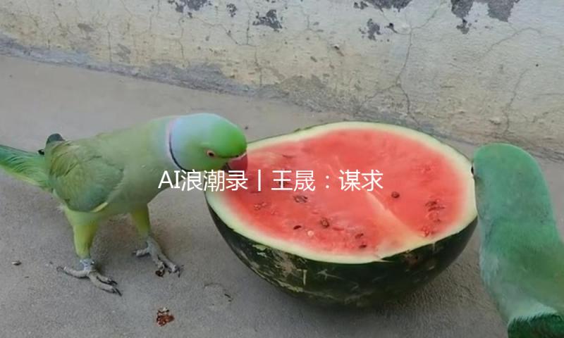 AI浪潮录丨王晟：谋求窗口期，AI初创公司不要跟巨头抢地盘 — 新京报