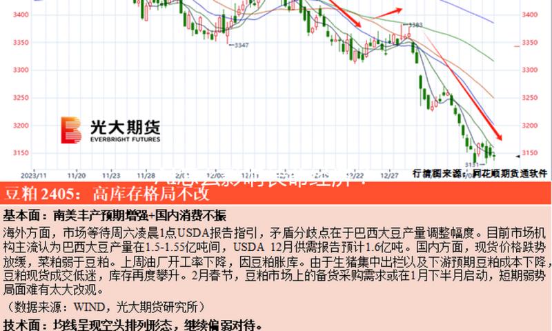 AI怎么影响长命经济？王忠民：AI将为抗衰老供给最新东西保证 — 新京报