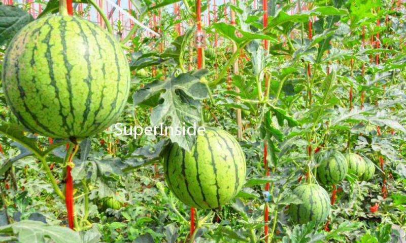 SuperInsider｜现在，谁还会为奢侈品美妆买单？