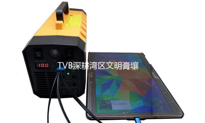 TVB深耕湾区文明膏壤，影视工业开展迈向新台阶 — 新京报