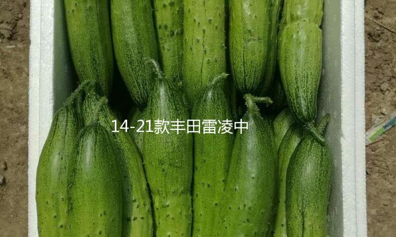 14-21款丰田雷凌中网外观改装配件汽车前脸保险杠防护专用装饰条