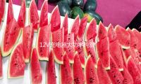 12V充電器（qì）大功（gōng）率純銅24v老式（shì）100A汽車貨車家用小轎車電（diàn）瓶衝充電機