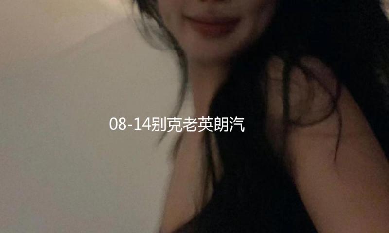 08-14别克老英朗汽车内饰改装中控配件装饰仪表台防晒隔热避光垫