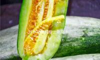37歲馬思純瘦出新高！穿修身裙全身零贅（zhuì）肉，S曲線（xiàn）又美又養眼
