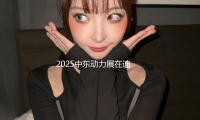 2025中東動力展在迪拜（bài）舉辦